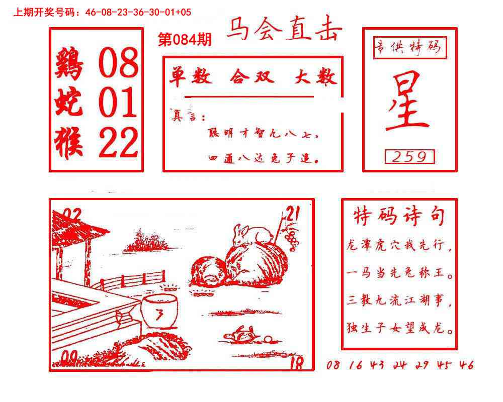 084期马会直击[图]